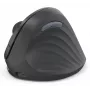 Mouse Hama EWM-600R ufficio per destrimani RF Wireless + Bluetooth Ottico 1800 DPI