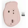 Mouse Hama WM-500 ufficio per destrimani RF Wireless Ottico 1600 DPI