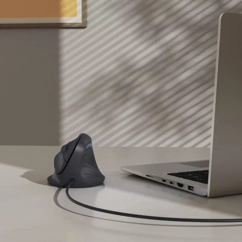 Mouse Hama ECM-500R ufficio per destrimani USB Type-A Ottico 1800 DPI