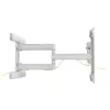 InLine supporto a parete in alluminio premium per TV a schermo piatto 37-80 pollici bianco 70 kg