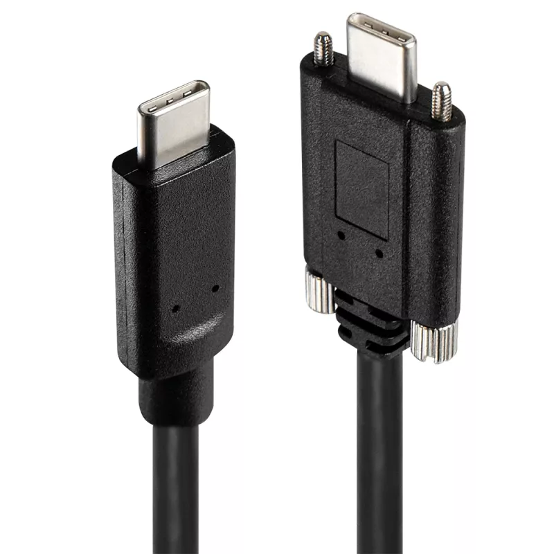 Hub USB Lindy 4 porte USB 3.2 Gen 2 Type-C hub in metallo