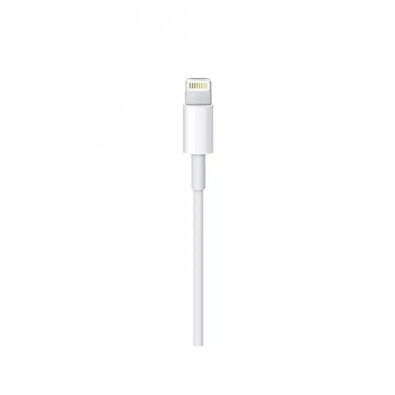 Cavo Apple Lightning a USB-C (2 m) MKQ42ZM/A