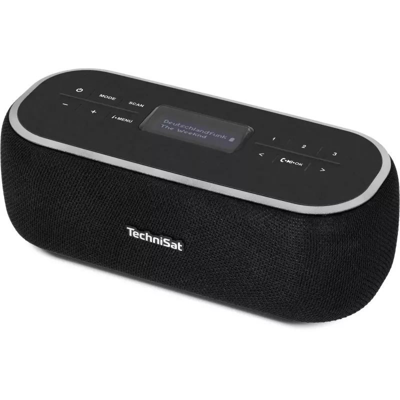 Radio portatile TechniSat 0000/3968