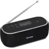 Radio portatile TechniSat 0000/3968
