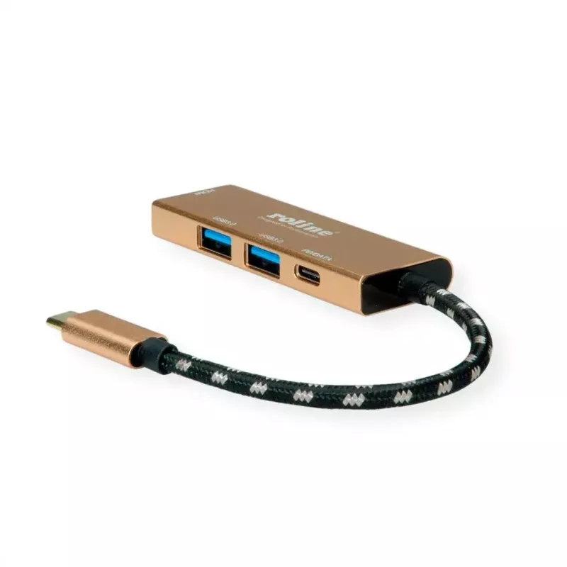 Dock per laptop ROLINE 12.02.1119