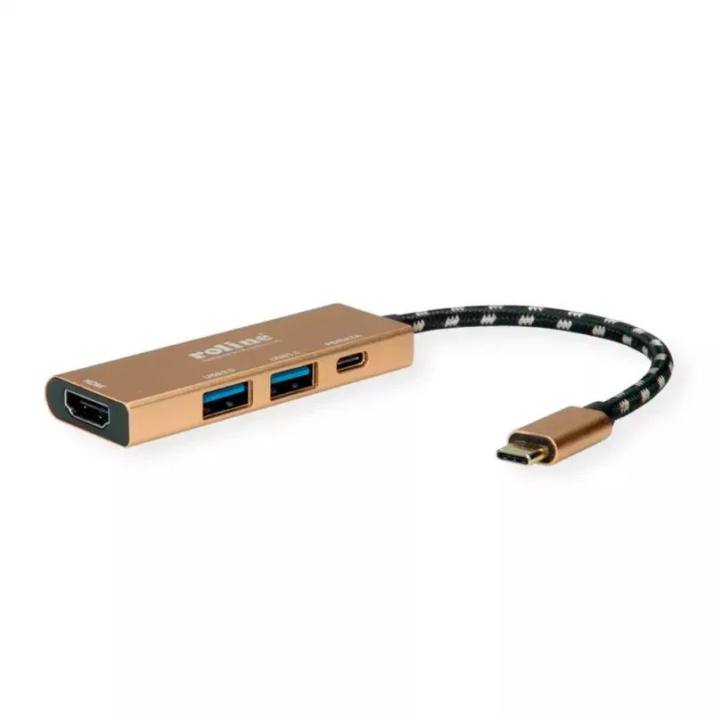 Dock per laptop ROLINE 12.02.1119