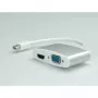 Adattatore Mini DisplayPort - HDMI/VGA ROLINE 12.03.3161