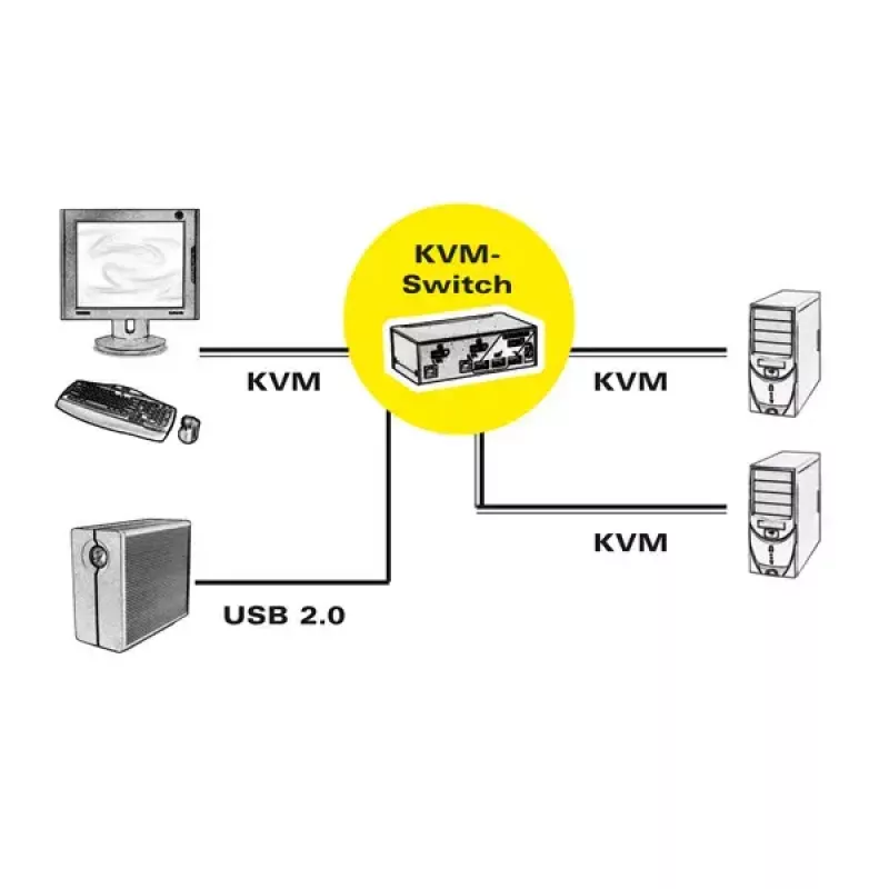KVM Switch ROLINE 1 utente 2 PC DisplayPort con hub USB