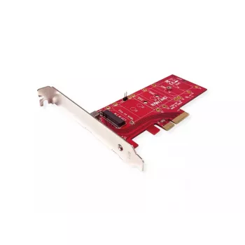 Scheda interfaccia ROLINE 15.06.2196 PCIe 4.0 3,3 V 5 A