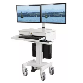 Supporto per PC all-in-one/workstation ROLINE 17.03.1175