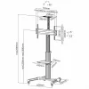 Supporto TV ROLINE 17.03.1260 177,8 cm (70 pollici)