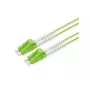 Cavo in fibra ottica ROLINE InfiniBand 1 m 2x LC verde OM5 50 µm