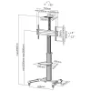 Carrello TV regolabile in altezza InLine, per TV LED 37