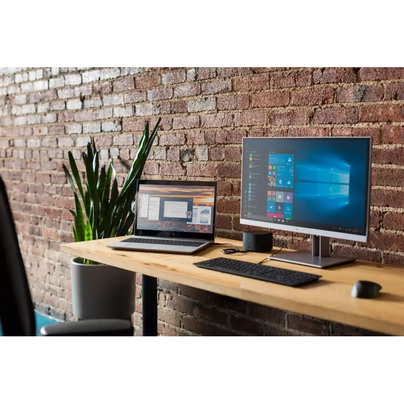 Mouse con lettore di impronte USB HP USB Type-A