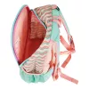 Zaino scuola Herlitz Rookie Sweet Jungle verde pesca poliestere