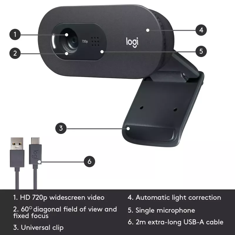 Webcam Logitech C505 HD 1280x720 USB nera