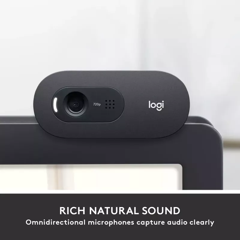 Webcam Logitech C505 HD 1280x720 USB nera