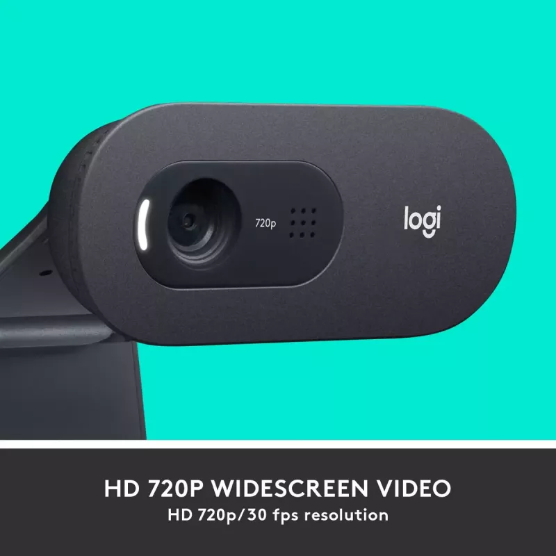 Webcam Logitech C505 HD 1280x720 USB nera