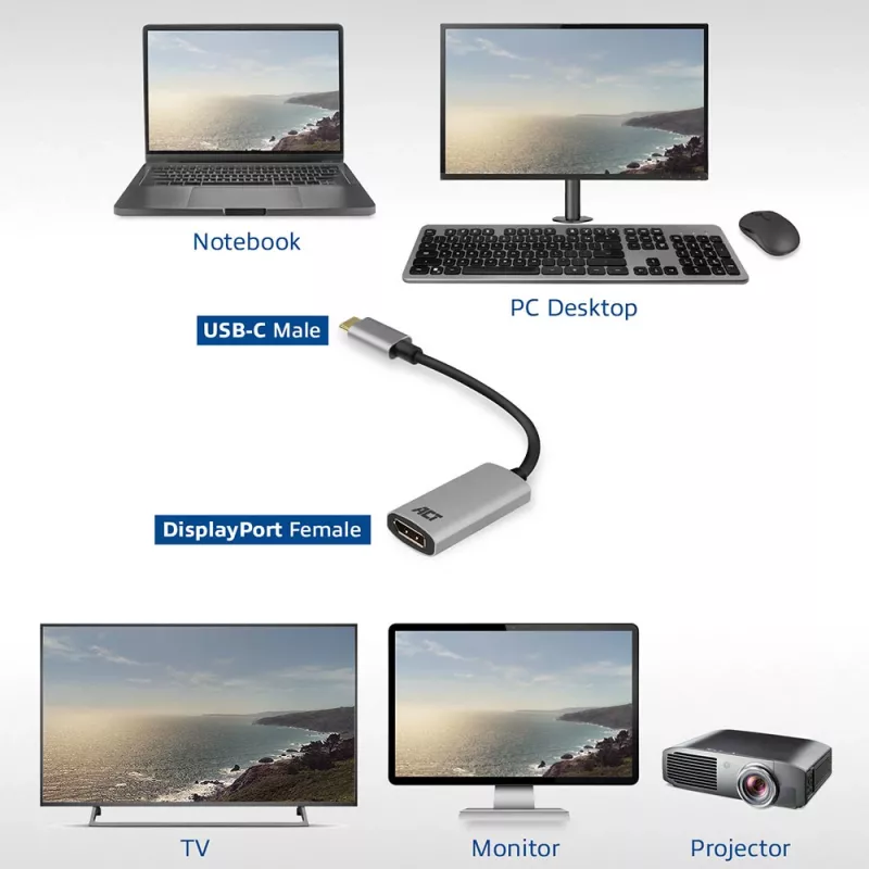 Adattatore USB-C a DisplayPort ACT AC7030
