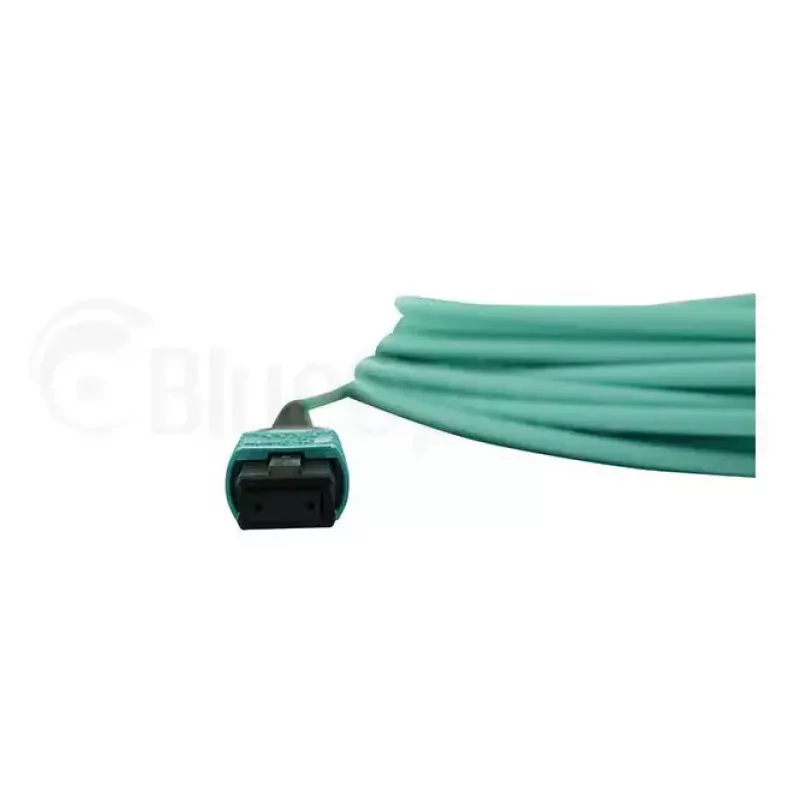 Cavo di rete BlueOptics AT-MTP12-30-BO MTP MTP InfiniBand 30 m acqua