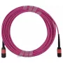 BlueOptics AV28-BO Cavo trunk in fibra multimodale, da MPO/UPC a MPO/UPC, OM4, 15 m, magenta