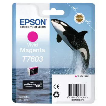 Cartuccia d'inchiostro Epson T7603 magenta