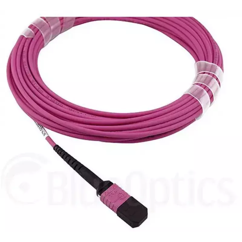 Cavo in fibra ottica MPO BlueOptics CBL-MPO12-OM4-1M 1 m OM4