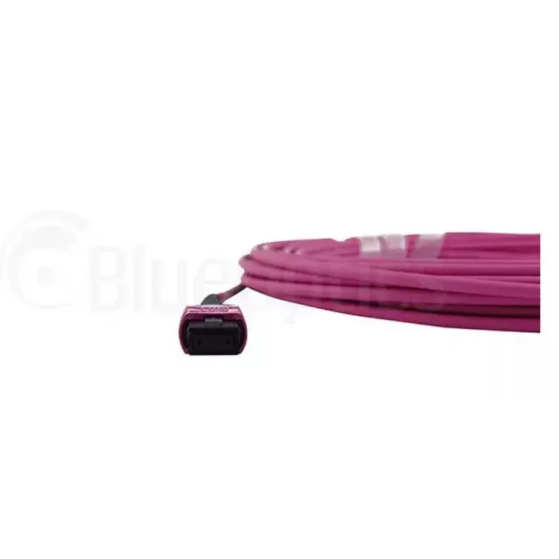 Cavo in fibra ottica MPO BlueOptics CBL-MPO12-OM4-1M 1 m OM4