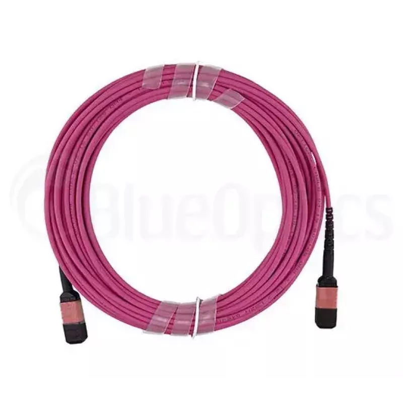 Cavo in fibra ottica MPO BlueOptics CBL-MPO12-OM4-1M 1 m OM4