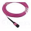 Cavo in fibra ottica MPO BlueOptics CBL-MPO12-OM4-20M-BO 20 m OM4