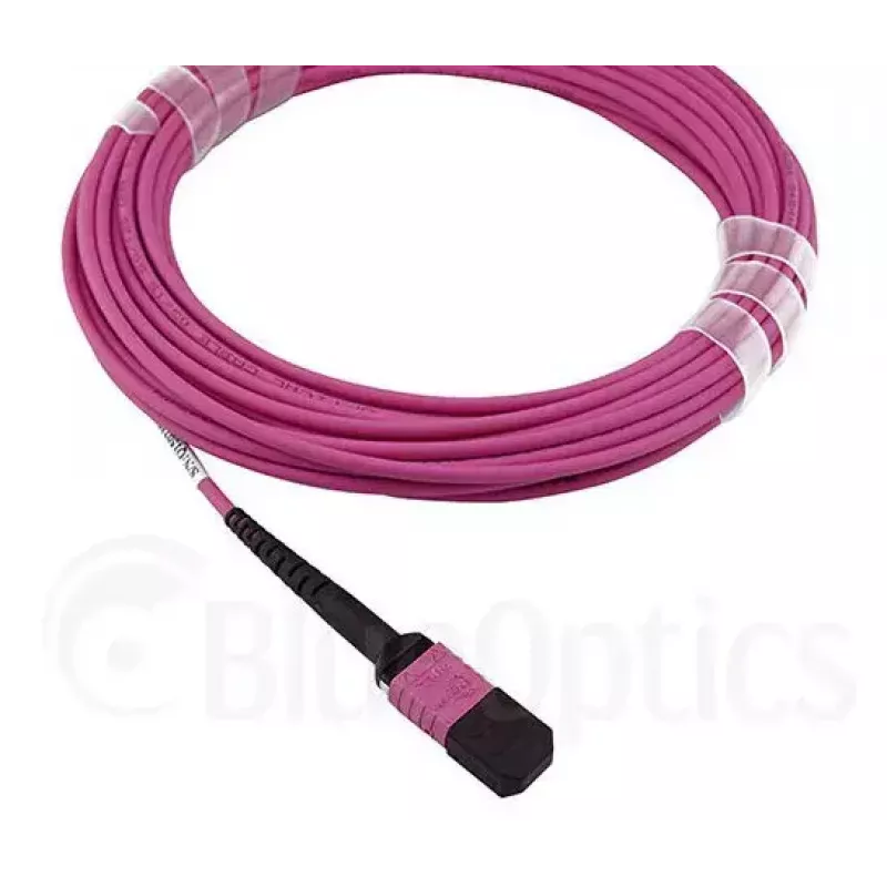 Cavo in fibra ottica MPO BlueOptics CBL-MPO12-OM4-20M-BO 20 m OM4
