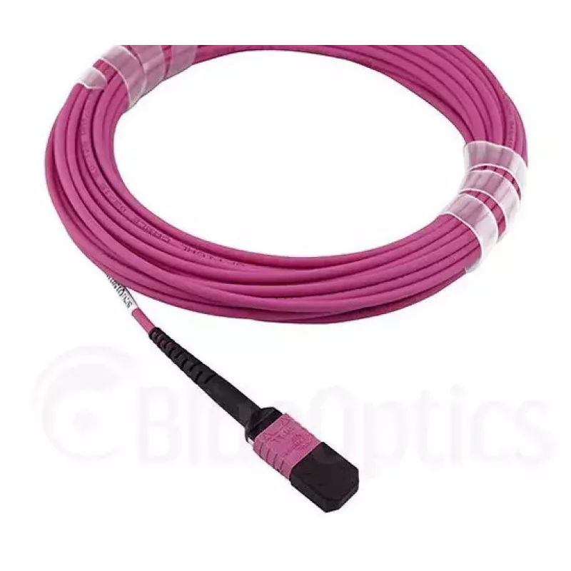 Cavo in fibra ottica InfiniBand BlueOptics CBL-MPO12-OM4-2M MPO 2 m OM4