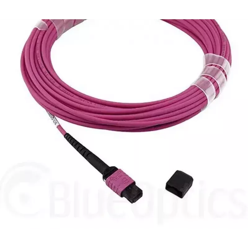 Cavo in fibra ottica InfiniBand BlueOptics CBL-MPO12-OM4-2M MPO 2 m OM4