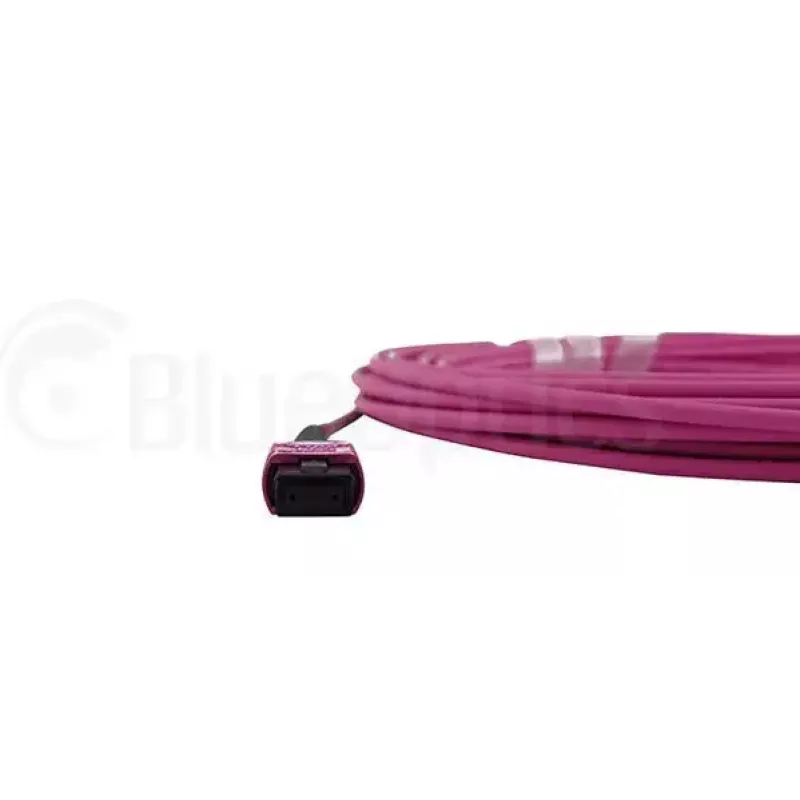 Cavo in fibra ottica InfiniBand BlueOptics CBL-MPO12-OM4-2M MPO 2 m OM4