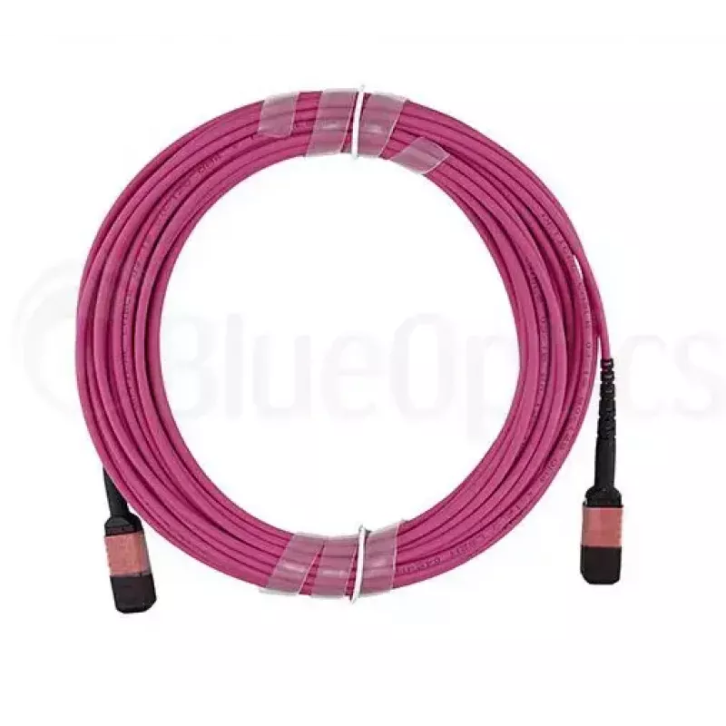Cavo in fibra ottica InfiniBand BlueOptics CBL-MPO12-OM4-2M MPO 2 m OM4