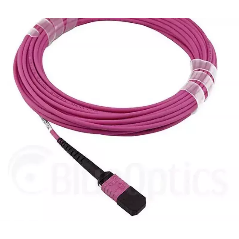 Cavo in fibra ottica MPO BlueOptics CBL-MPO12-OM4-5M-BO 5 m OM4 50 µm