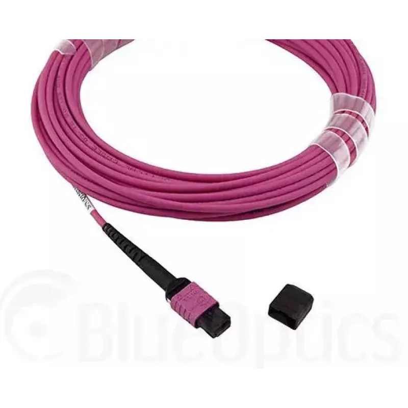 Cavo in fibra ottica MPO BlueOptics CBL-MPO12-OM4-5M-BO 5 m OM4 50 µm