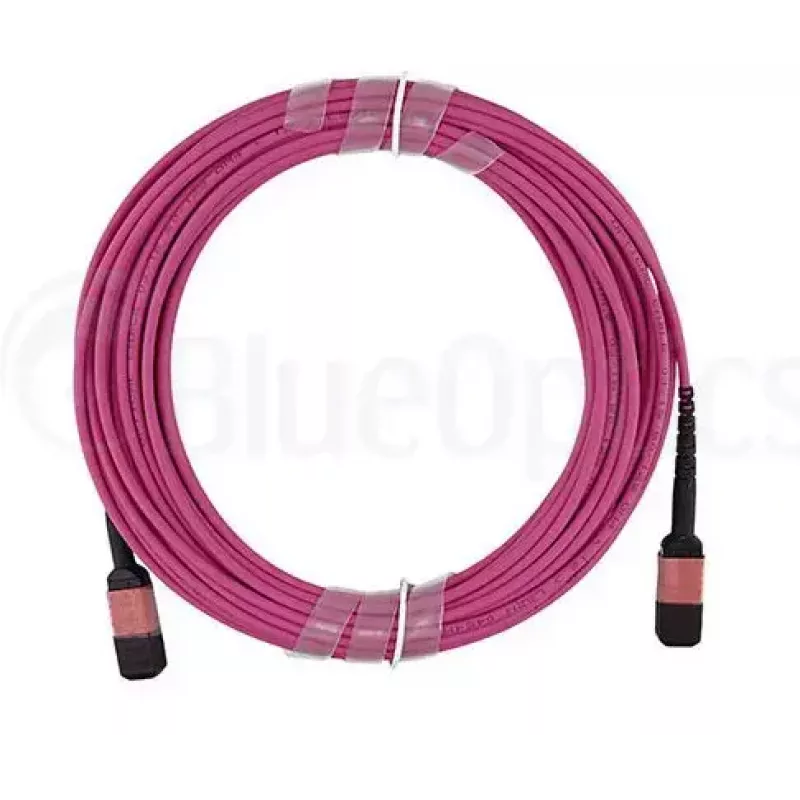 Cavo in fibra ottica MPO BlueOptics CBL-MPO12-OM4-5M-BO 5 m OM4 50 µm