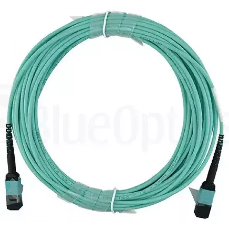 BlueOptics CBL-MTP12-OM3-10M-BO Cavo trunk in fibra multimodale, da MTP/UPC a MTP/UPC, OM3, 10 m, acqua
