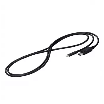 EIZO CP200-BK cavo DisplayPort 2 m USB Type-C nero