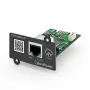 CyberPower RCCARD100 scheda di rete interna Ethernet 100 Mbit/s