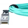 Cavo in fibra ottica InfiniBand BlueOptics SFP-10G-AOC1M-BO 1 m SFP+
