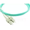 Cavo in fibra ottica InfiniBand BlueOptics SFP3232EU15MK 15 m SC