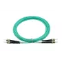 Cavo in fibra ottica InfiniBand BlueOptics SFP3333EU15MK 15 m ST