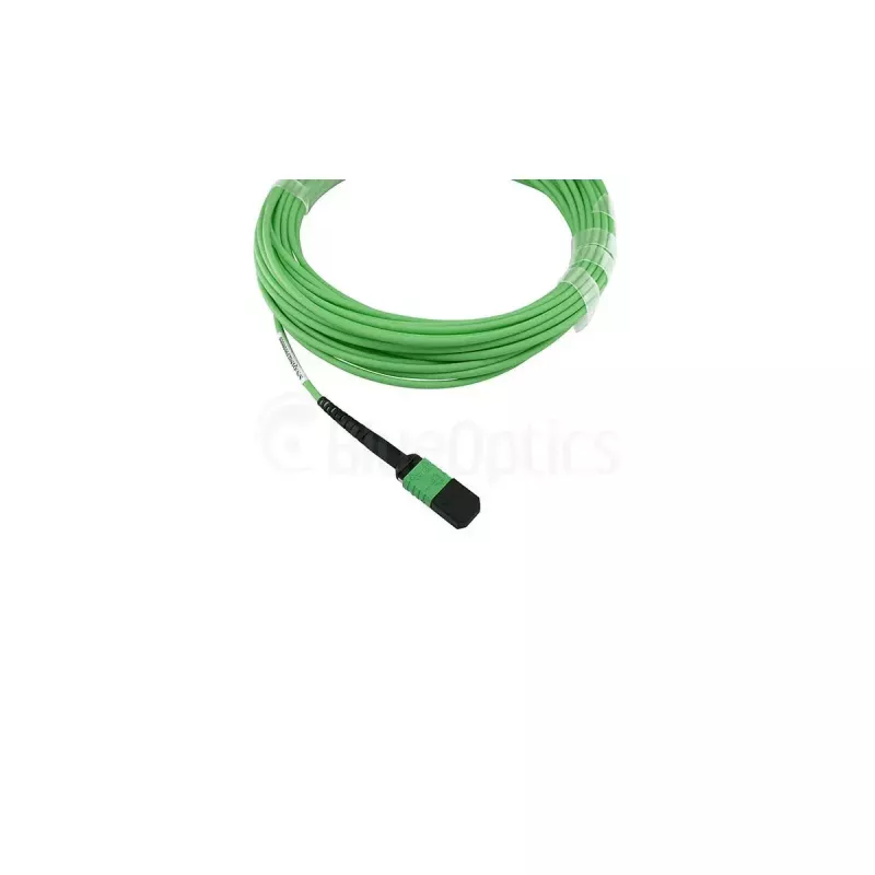 Cavo in fibra ottica BlueOptics SFP5141GU2MKB MPO 4x LC OM5 2 m lime