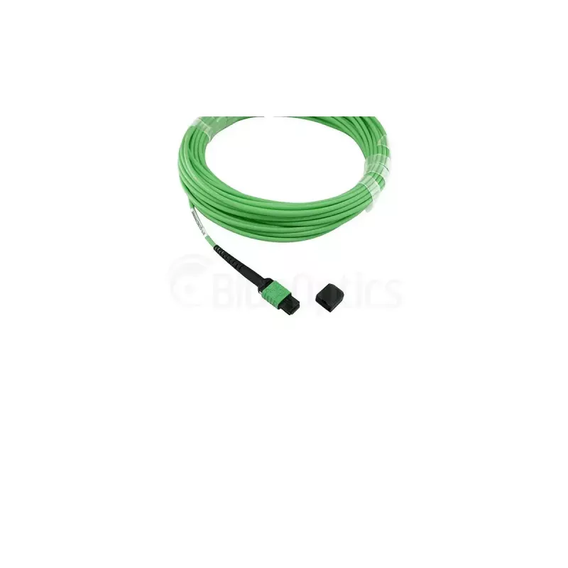 Cavo in fibra ottica BlueOptics SFP5141GU2MKB MPO 4x LC OM5 2 m lime