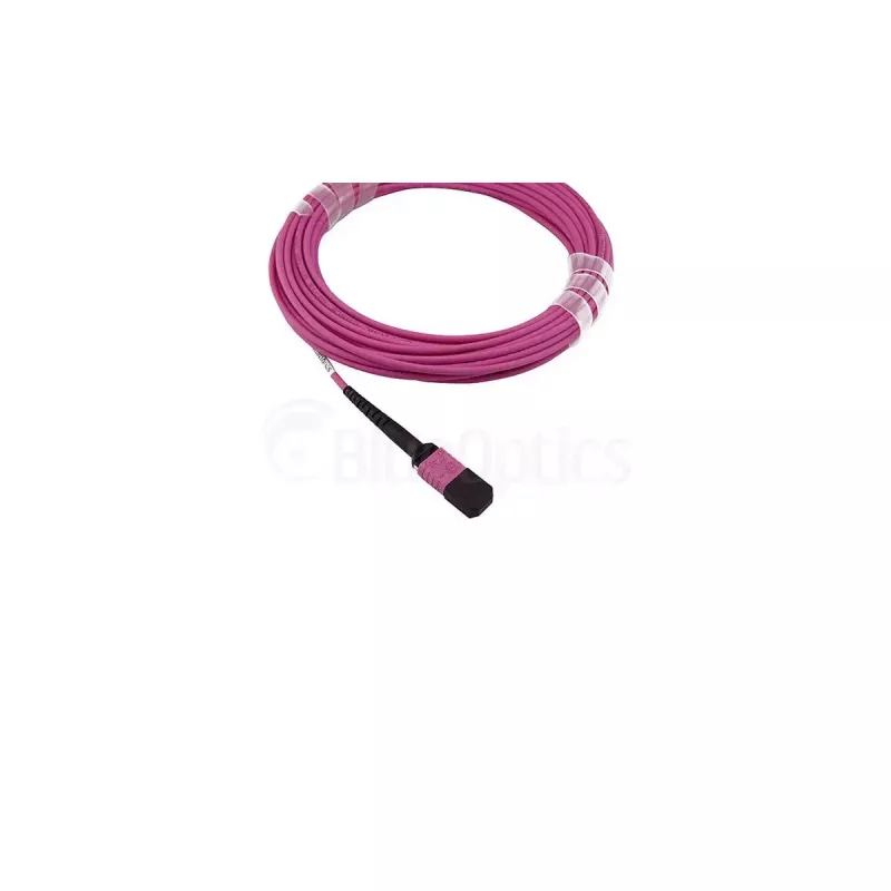 Cavo in fibra ottica InfiniBand BlueOptics SFP5252FU3MKB 3 m MPO OM4