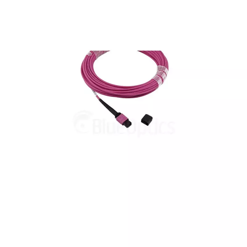 Cavo in fibra ottica BlueOptics SFP5252FU50MKB MPO OM4 50 m viola