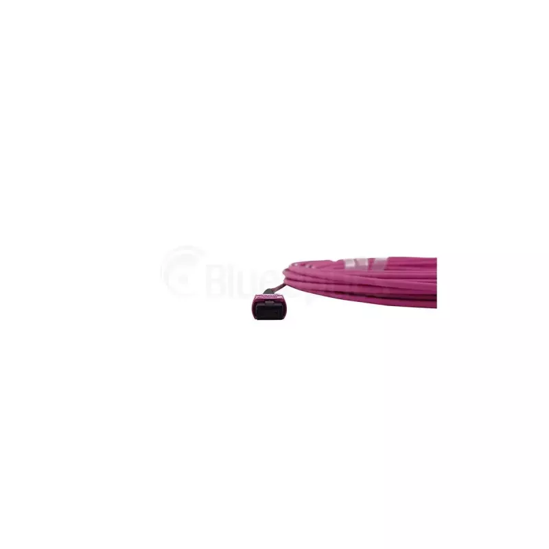 Cavo in fibra ottica BlueOptics SFP5252FU50MKB MPO OM4 50 m viola