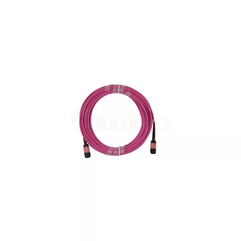 Cavo in fibra ottica BlueOptics SFP5252FU50MKB MPO OM4 50 m viola